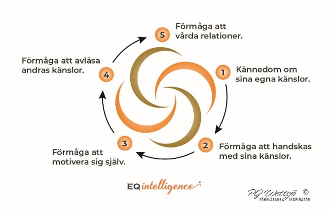 Emotionell intelligens Modell emotionell intelligens