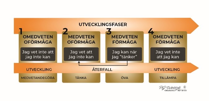 Utvecklingsfaser Modell för utvecklingsfaser